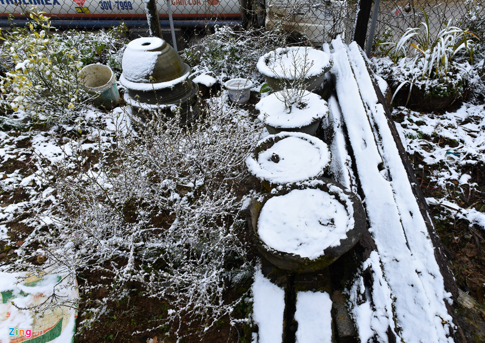 Toàn cảnh tuyết bao phủ trắng đường lên Sa Pa